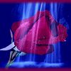user9504214938637