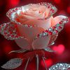 aminkh547