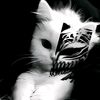 ibrahim._kh
