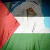 rashaahmed404