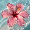 waleedsayed22