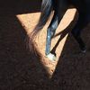 the.horseshow.club