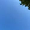 jjj123231