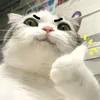 vdthbjhvvf