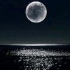 mosh_moon