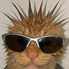 tubancuamoinha