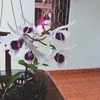 usercvrd1gf7nz