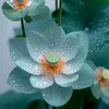 phuong.utnho