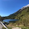 samina_ameli