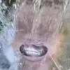 cheeseballswiowiowio