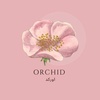 orchid7153