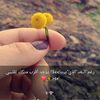 user3833448779570