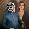 313p1_murtaza