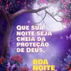 ednaldopereira102