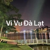 Vi Vu Đà Lạt