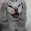aspectoigneooo