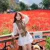 hale_818