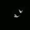 hhabsisb57