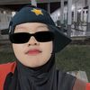 ansalmlsa