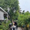 call_sely