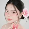mittxinhxinhh
