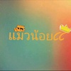 แมวน้อยcc