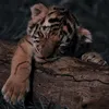 nothing...wow