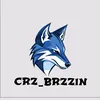 brzzin02
