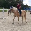 horse_blog_luna