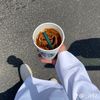 pj._19