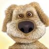 benthedog_official0