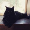 alexander_1687