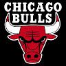 bulls4life4523