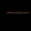 alawy56