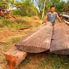 kinhnguyen680