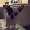 charlyboeddha.rakker