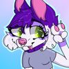 zoia.raccoon