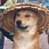 anhchodeptrai00