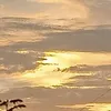 gdhp_