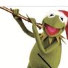 kermit_the_frog_oficail