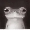 kosnutsa