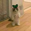 zhummyyy._v