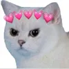 yung__nitro