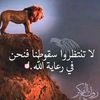 alihusain6796