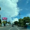 viviwidy4