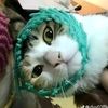 qhsjsjsijsnsnksi
