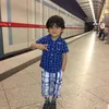 ghandi_tamr