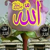 kadijasosiya009
