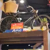 ishaniman81
