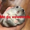 stevenbrrr1